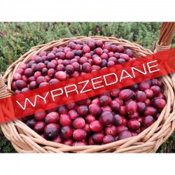 10 kg - EKOLOGICZNA...
